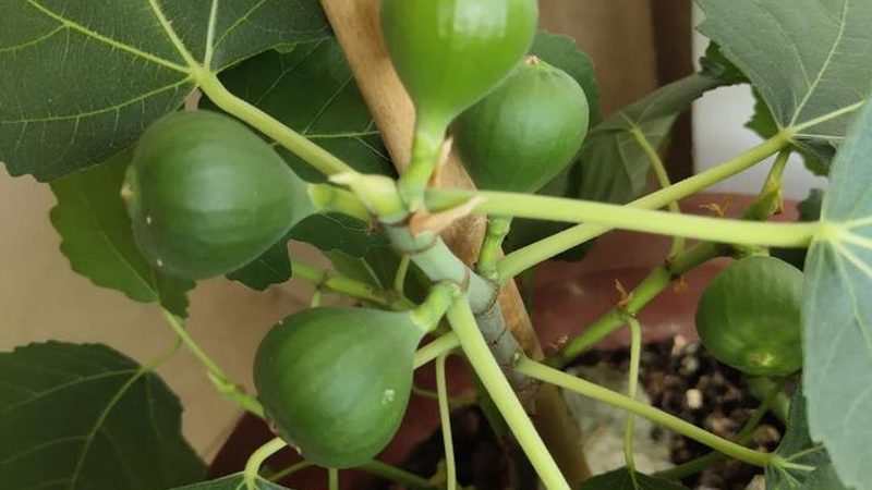 成都机房弱电工程：规范标准背后的关键考量**